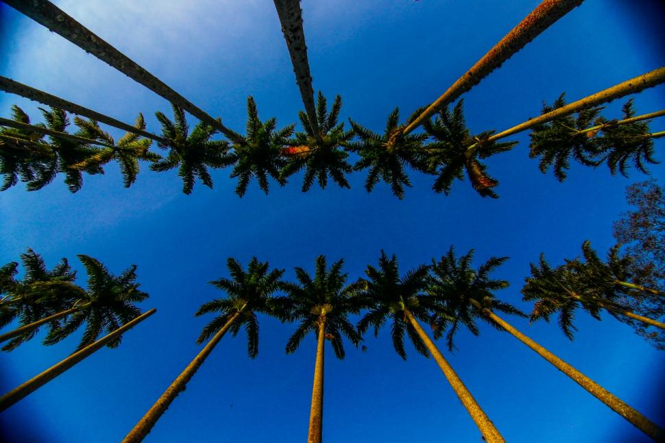Parque da Cidade série O Escolhido Netflix São José dos Campos