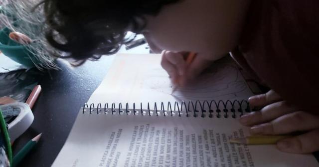 educação à distância para criança com autismo Lorenzo 7 anos de idade (Foto: Ana Paula Cardoso Schwartz)
