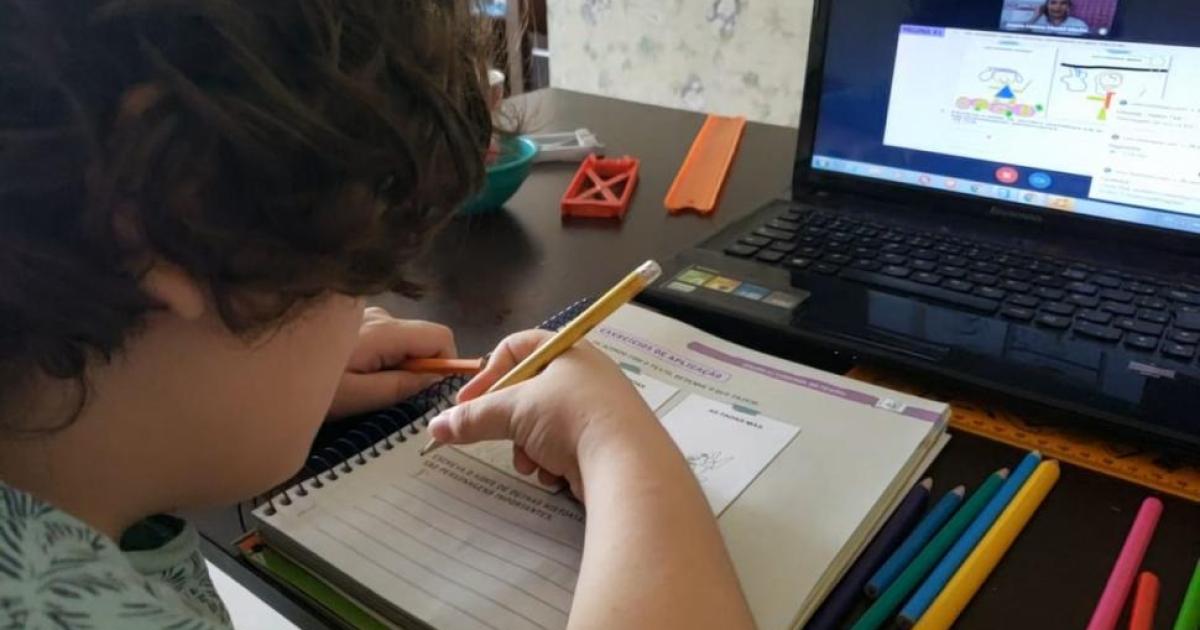 Lorenzo aluno com autismo em educação à distância (Foto: Ana Paula Cardoso Schwartz)