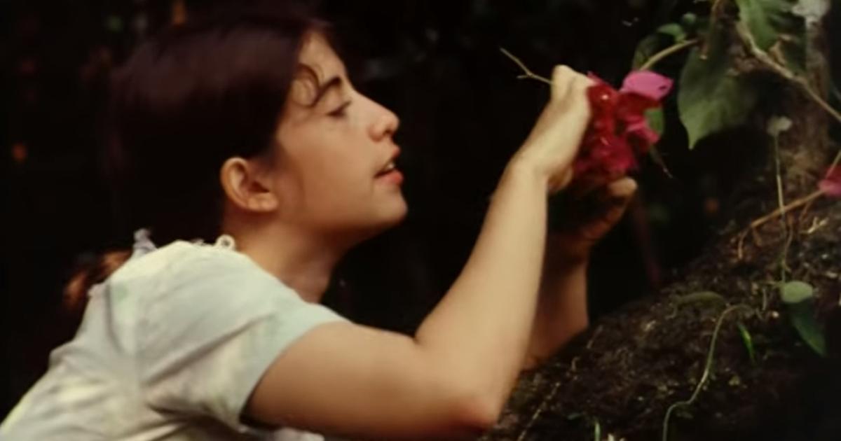 Fernanda Torres no filme A Marvada Carne