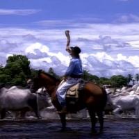Reportagem do Fantástico sobre novela Pantanal