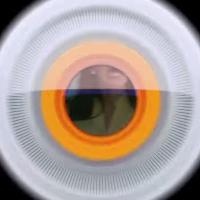 Big Brother Brasil 2021, o BBB 21 ou BBB21: o Brasil sente saudades do reality show