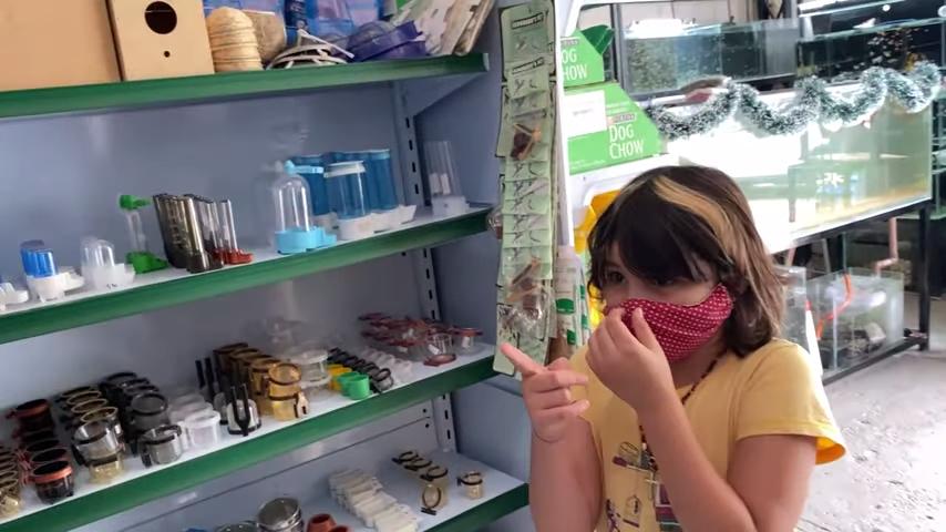 Mariana Felício dá Calopsita de presente para a filha Anita. Assista ao vídeo e veja dicas. O que fazer com calopsita muito apegada ao dono?