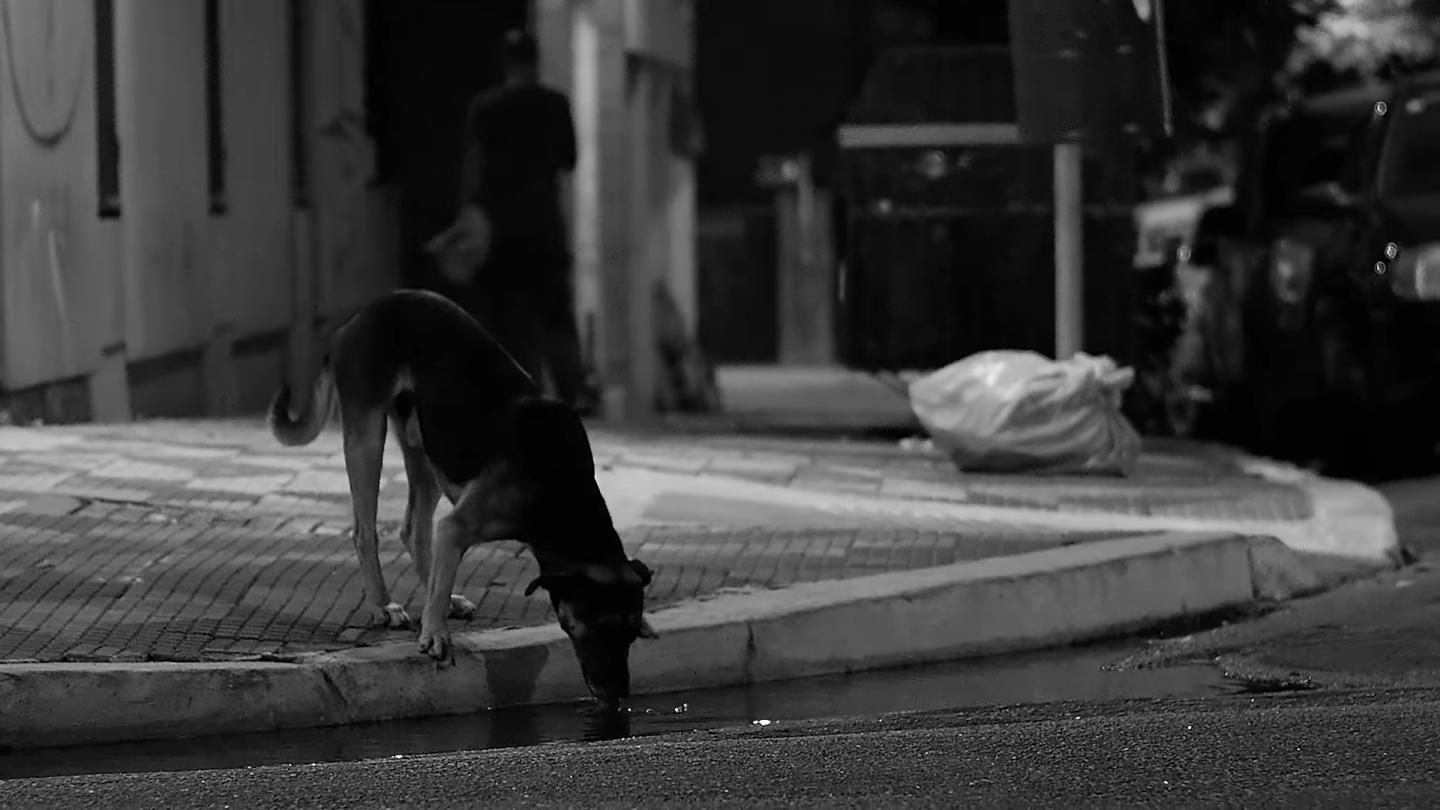 Alex Fava com o clipe Todos Juntos