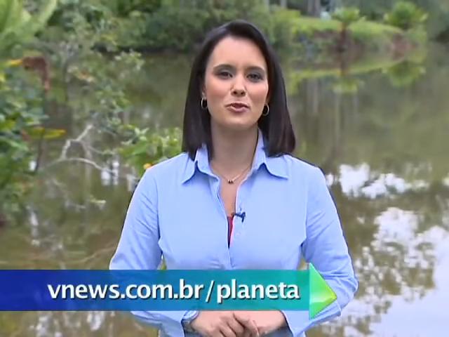 Jornalista, repórter e apresentadora Marcela Mesquita, de SBT e Globo