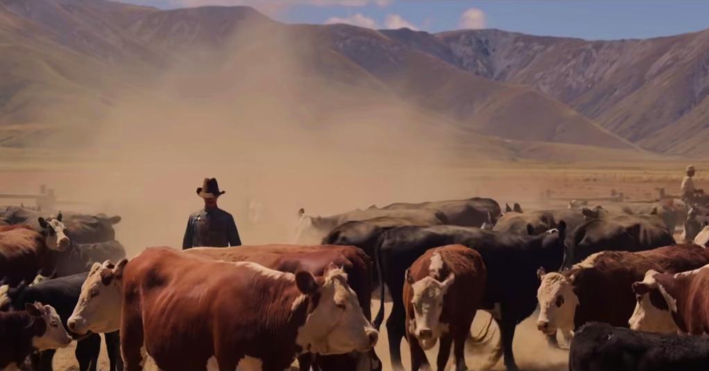 Filmes que estão no Oscar 2022