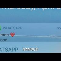 O Golpista do Tinder