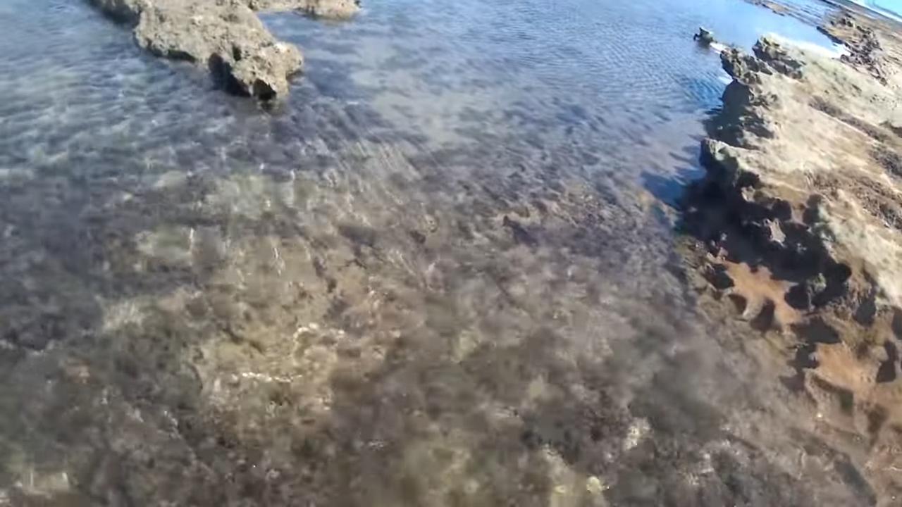 Melhores praias do Recife e de Porto de Galinhas, como Muro Alto e Carneiros