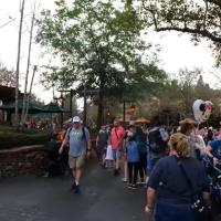 Viagem com filhos pequenos para os Parques da Disney em Orlando nos EUA