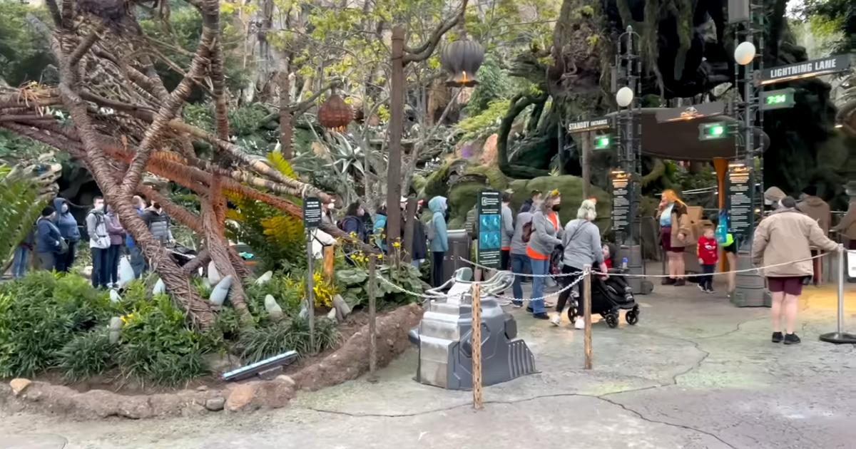 Para evitar filas nos Parques da Disney, com o app Disney World e utilizando o Genie