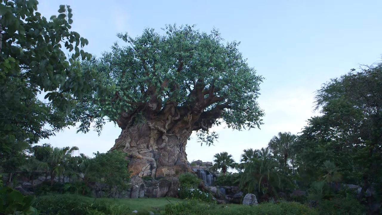 Animal Kingdom em Orlando nos EUA (Foto: Reprodução/ YouTube)