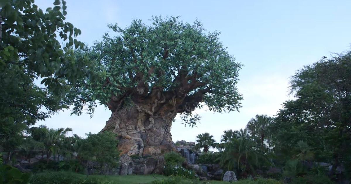 Animal Kingdom em Orlando nos EUA