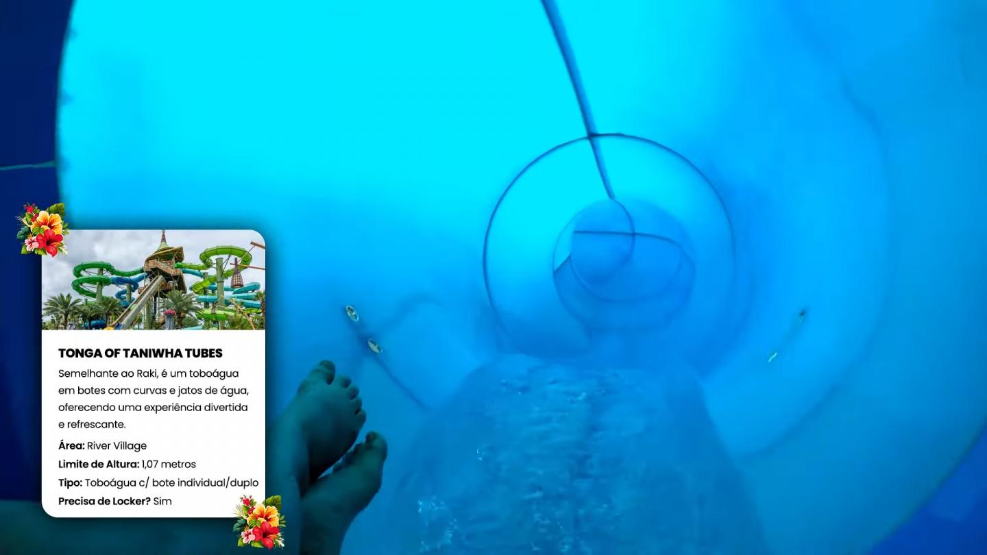 Melhores atrações do Volcano Bay parque aquático da Universal em Orlando