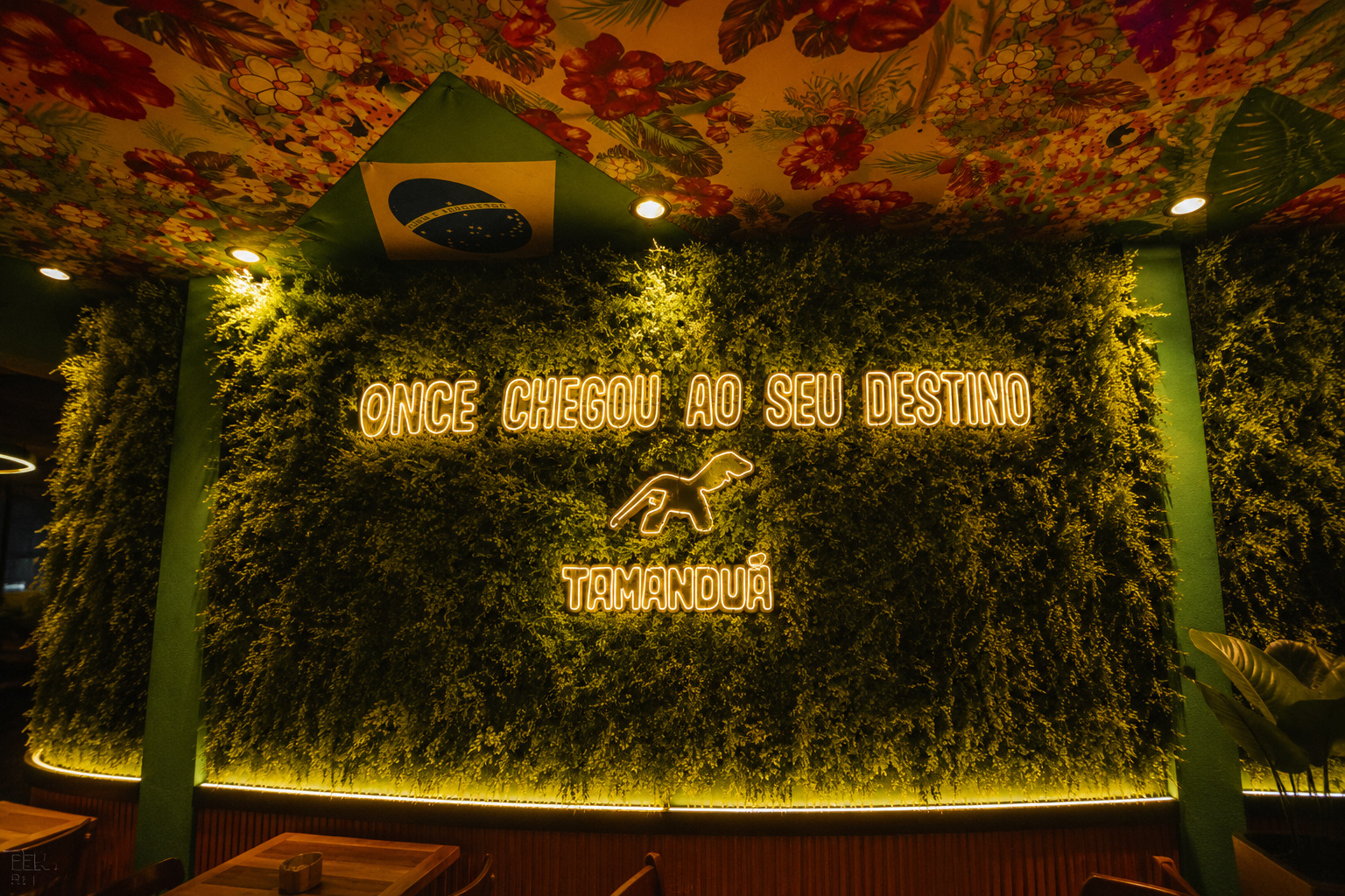Tamanduá Bar em São José